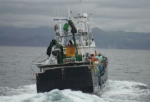 Red Parachute Rocket: Công Cụ Cứu Hộ Hiệu Quả