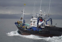 Khói Cam 3 Phút: Không Thể Thiếu Trong An Toàn Hàng Hải